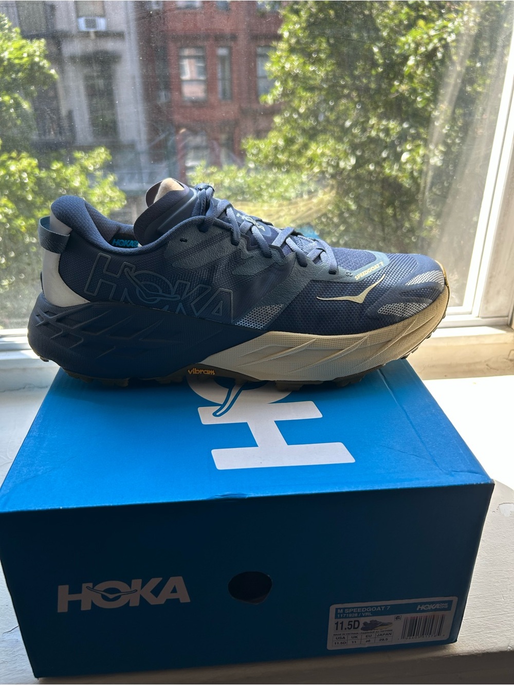 Hoka Speedgoat 7